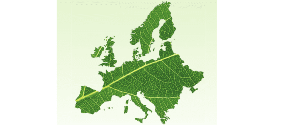 Dwie nowe strategie Komisji Europejskiej w ramach Zielonego Ładu