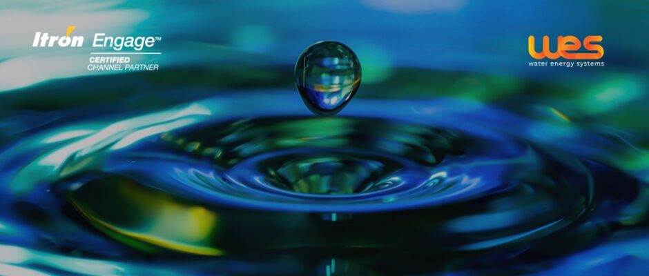 Optymalny dobór wodomierza jako warunek zwiększenia przychodów przedsiębiorstwa wodociągowego.