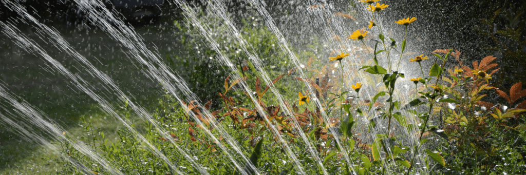 Konferencja Katalog Praktyk Przedsiębiorstw WOD-KAN