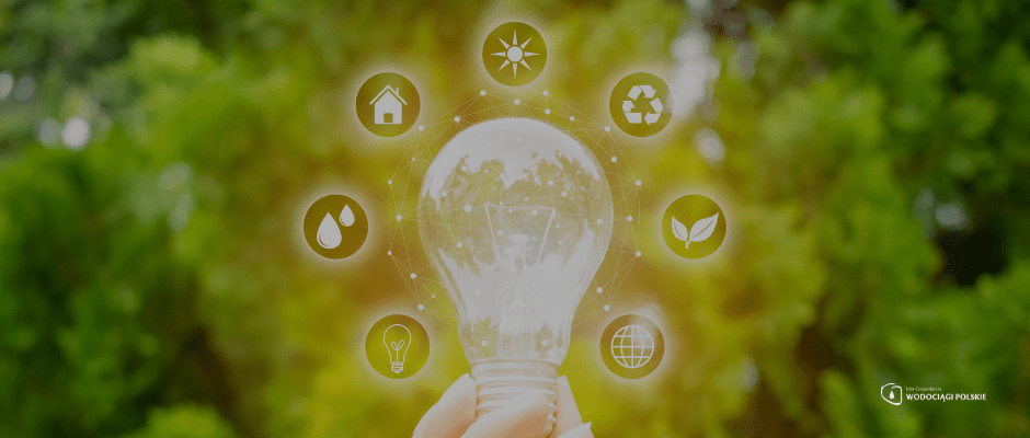 Członek IGWP, SEEN Technologie, uhonorowany Diamentem Innowacji