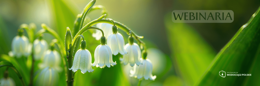 Efektywne zespoły – jak organizować pracę aby wszyscy byli zaangażowani